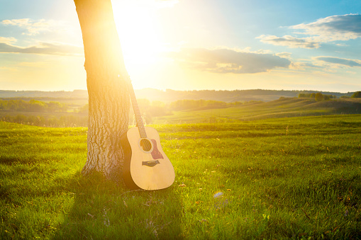 classical guitar propped against a tree trunk in the background grass