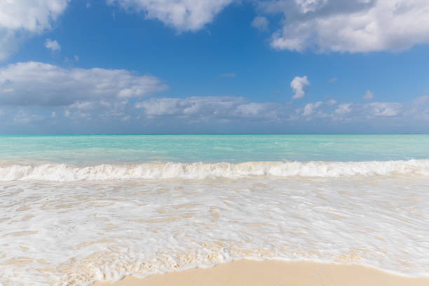 istock Idyllic Tropical Sand Beach, Cayo Coco, Cuba 643336560