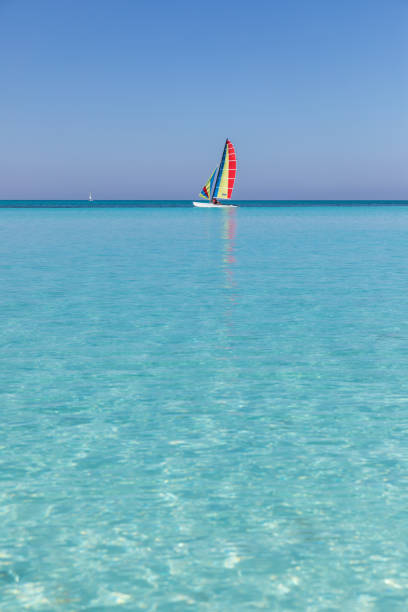 istock Idyllic Tropical Sand Beach, Cayo Coco, Cuba 643338902