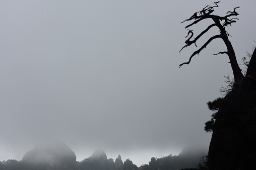 Mount Sanqingshan is Chinese Taoist mountains, located in Jiangxi province China. Peculiar shape, the nature of the bonsai.Nikon D810 camera.