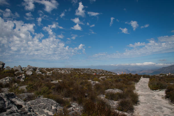 szlak turystyczny w table mountain, kapsztad w republice południowej afryki - flattop mountain zdjęcia i obrazy z banku zdjęć