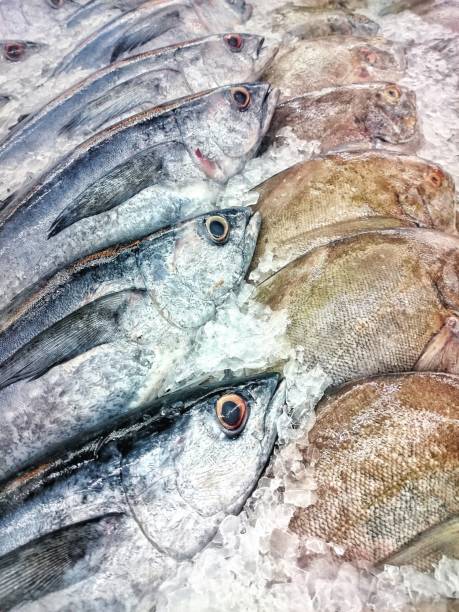 istock Fresh fish on ice at the seafood booth 643343300