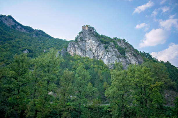 istock Summer landscape in the mountains 643346770