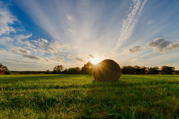 istock field with haystacks at sunset in early autumn 643350066