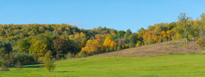 Colorful autumn landscape on the hills.