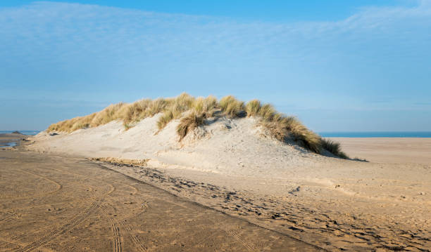 istock sand dunes and sea in Holland 643360852
