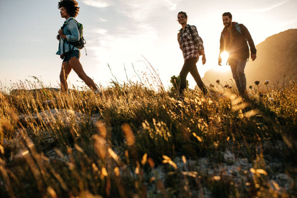 istock Three young friends on a country walk 643361626