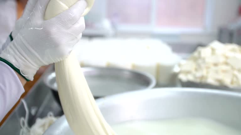 Descarga videos de stock de Queso Mozzarella gratis en 4K y HD 898 clips Descarga videos de stock de Queso Mozzarella gratis en 4K y HD 898 clips