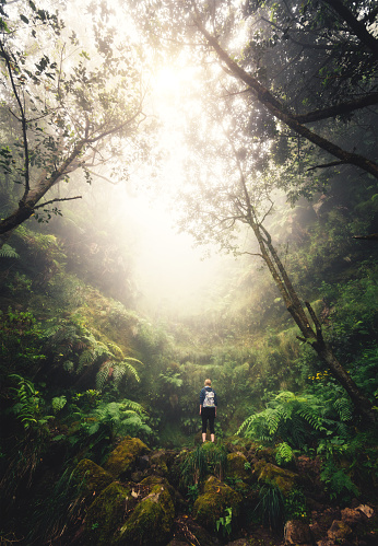 Young woman enjoying nature while hiking on Madeira Island (Levada do Caldeirão Verde).