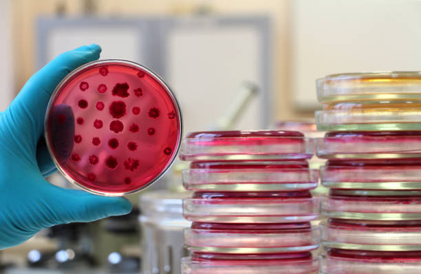 istock Scientist holding a red Petri dish on the laboratory background 643383172