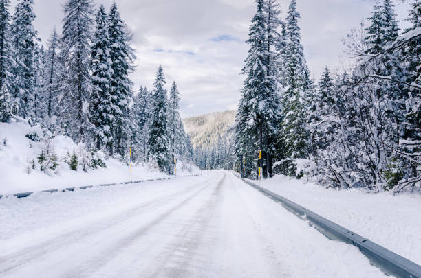 istock Deserted Stretch of a Snowy Mountain Road 643383420