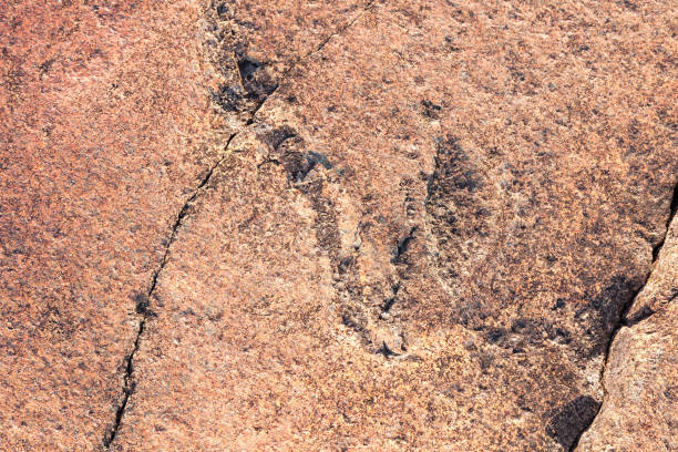 istock Ancient petroglyphs on granite Onega Lake shore 643389970