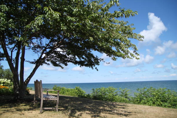 istock Bench near the ocean 643390734