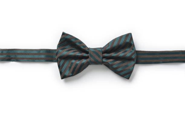 istock Dark green and brown striped bow tie 643402380