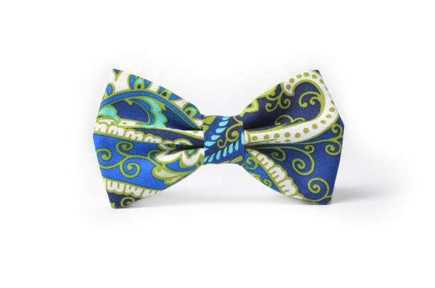 istock Tuxedo blue and green bow tie 643405702