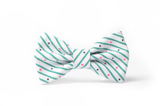 istock White bow tie with turquoise stripes and pink black dots 643405980