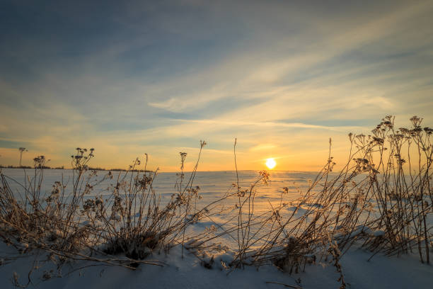 istock beautiful sunset with ice covered grass at winter season 643412924