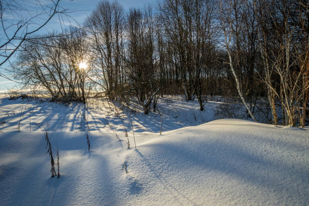 istock beautiful sunset at field at winter season 643420552