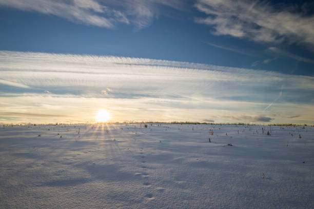 istock beautiful sunset at field at winter season 643420598