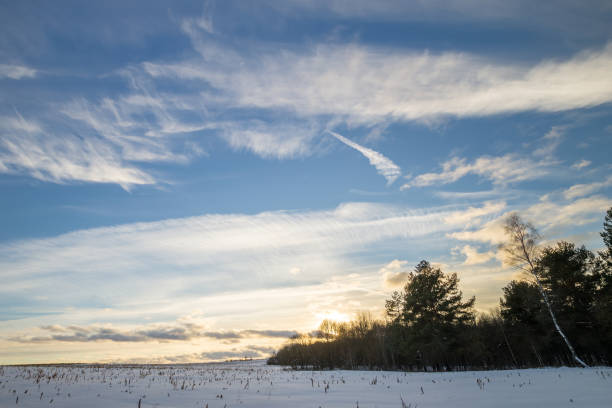 istock beautiful sunset at field at winter season 643420628