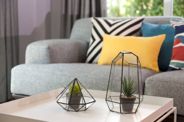 Picture of white orchid in cozy living room. Render image.