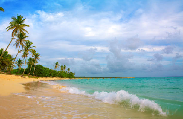 istock Caribbean sea and palms 643425428