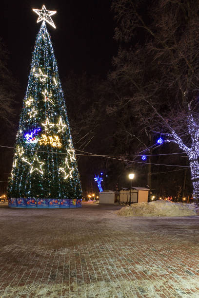 istock Spruce of garlands at night winter park 643428302