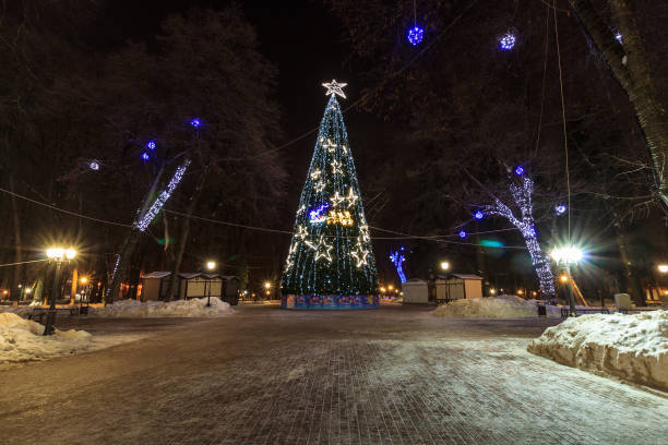 istock Spruce of garlands at night winter park 643428332