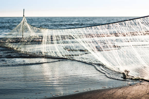 istock Close-up of fisihng nets on a beach 643435684