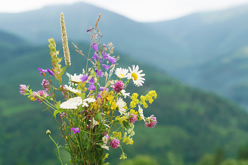 Wild flowers bouquet over mountains background.