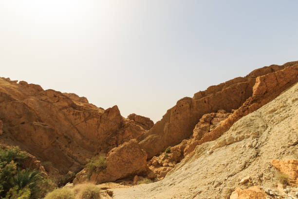 istock Landscape of a canyon in stone desert. 643442482