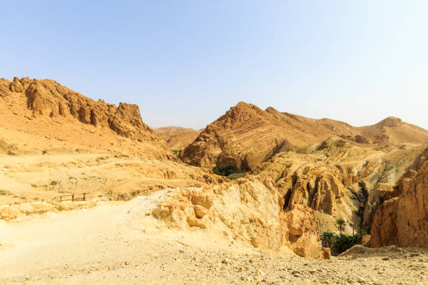 istock Landscape of a canyon in stone desert. 643442666