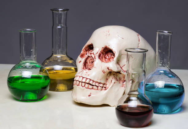 istock Photo of human's scull in laboratory 643443266