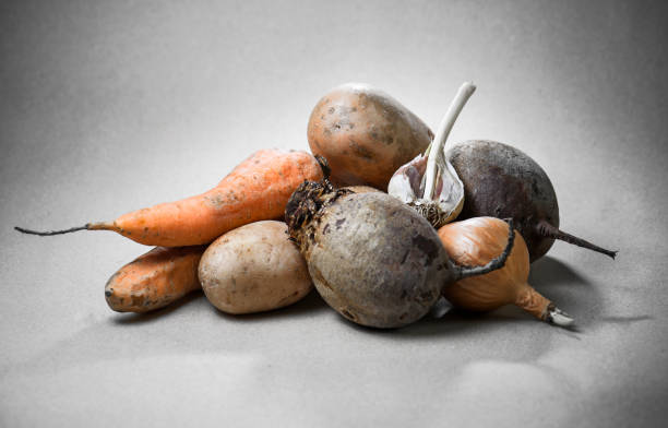 istock set of raw vegetables root vegetables on a gray background. 643450560