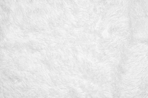 White shaggy blanket texture as background.