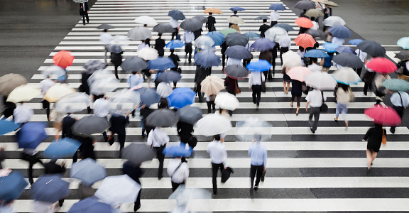 Tokyo Crosswalk Scene on Rainy Morning from above