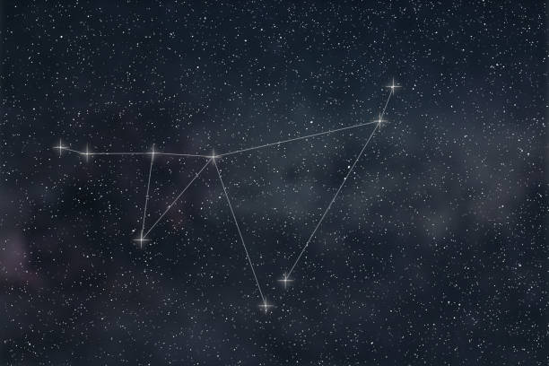 Capricorn Constellation. Zodiac Sign Capricorn constellation lines Capricorn Constellation. Zodiac Sign Capricorn constellation lines capricorn stock pictures, royalty-free photos & images