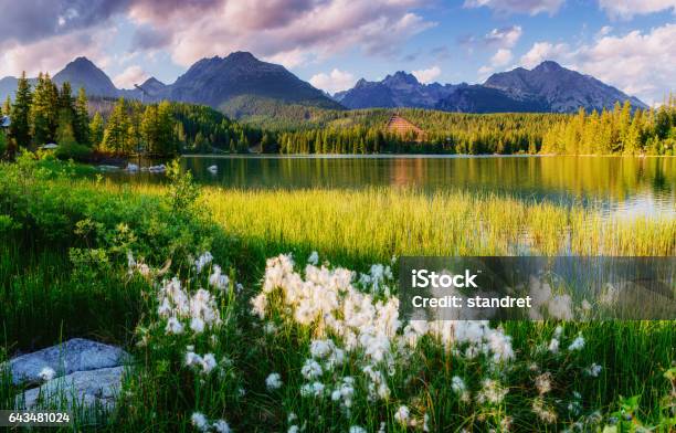 Majestic Mountain Lake In National Park High Tatra Stock Photo - Download Image Now