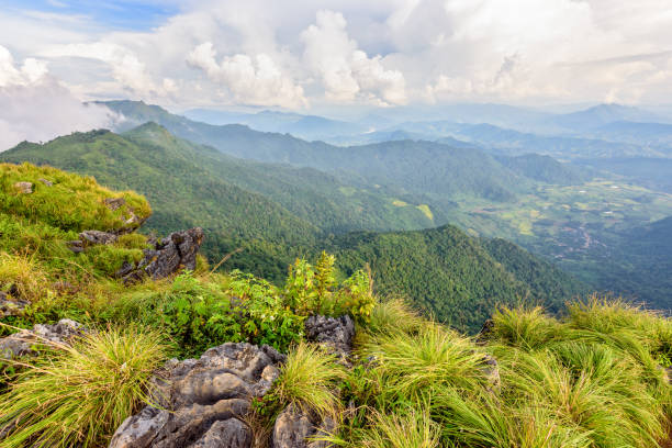 istock Beautiful landscape at Phu Chi Fa Forest Park 643483728