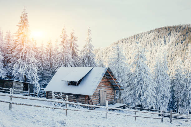 istock cabin in the mountains in winter 643491174