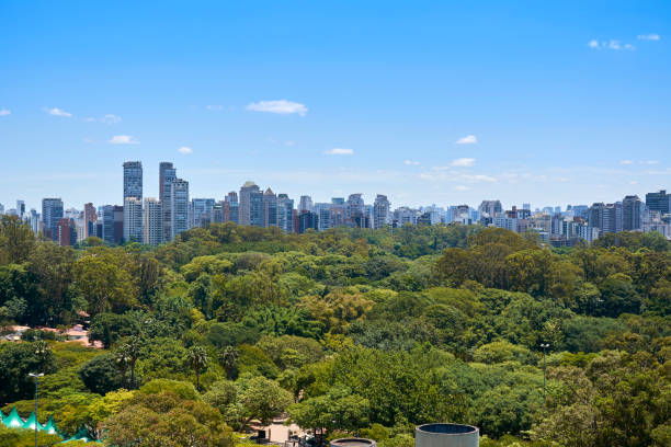 parque de ibirapuera en la ciudad de sao paulo, brasil. - urban scene brazil architecture next to fotografías e imágenes de stock