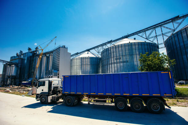 istock Set of storage tanks cultivated agricultural crops processing pl 643503594