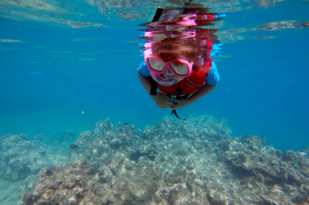 istock Child snorkeling dive over a coral reef 643503662
