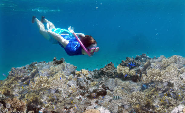 Woman snorkeling underwater over a coral reef in Fiji Young woman snorkeling underwater over a coral reef in a tropical resort on Vanua Levu Island, Fiji. Real people copy space vanua levu island photos stock pictures, royalty-free photos & images