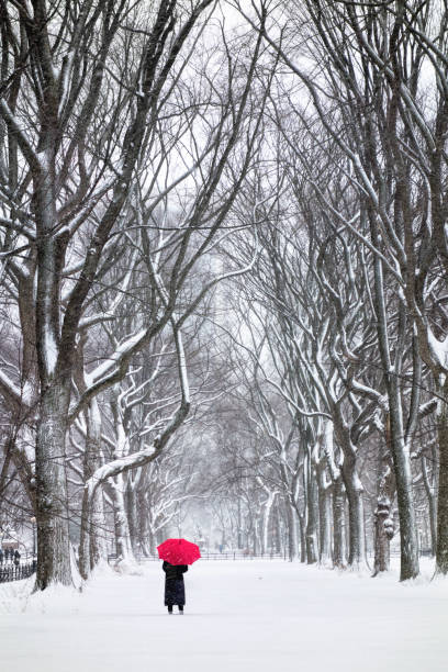 istock woman with red umbrella 643516480