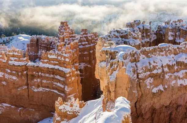 The Wall Street formation of hoodoos covered in snow and silhouetted against the fog taken from Sunset Point in Bryce Canyon National Park, Utah