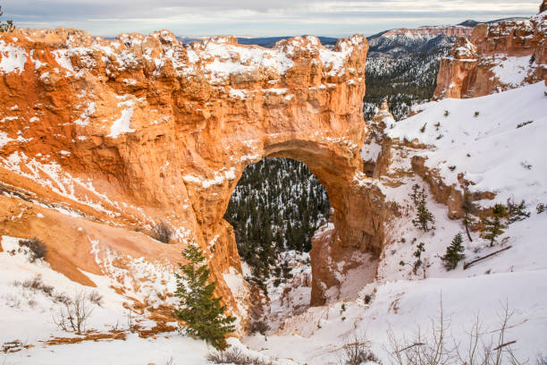 istock Snowy Bryce Canyon Natural Arch 643521874