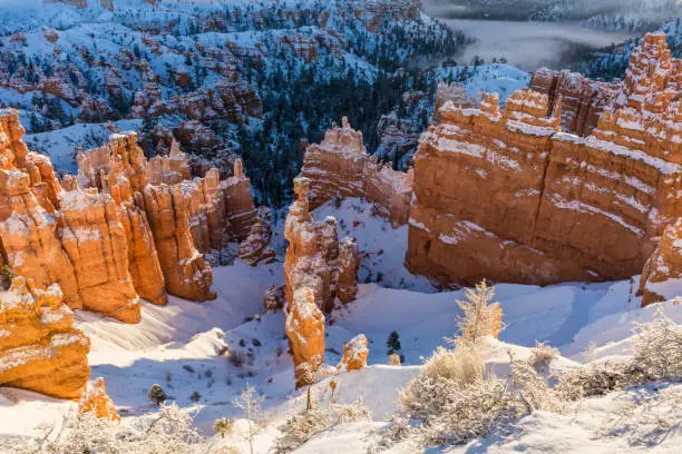 Morning sun on the snow shrouded hoodoos near Sunset Point in Bryce Canyon National Park, Utah