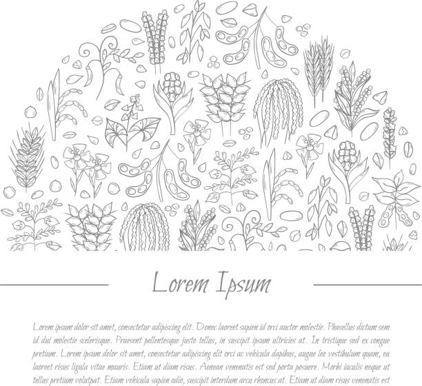 Millets Cartoon 320+ Cartoon Of A Millets Stock Illustrations, Royalty-Free Vector ...