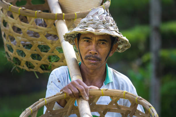 istock Balinese rice farmer with baskets. 643544572